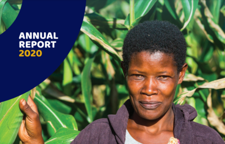 Informe de actividades 2020