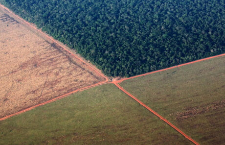 Bloquer l’accord commercial UE-Mercosur : quelles possibilités ?