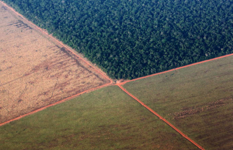 L'Accord de Libre-Échange UE-MERCOSUR : Impacts profonds sur l'Agriculture et l'Environnement