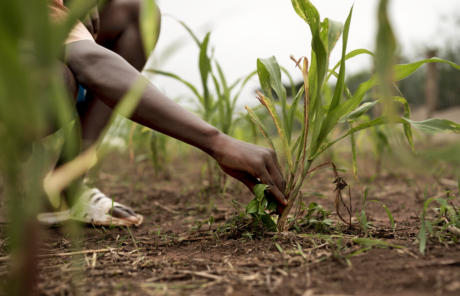 En 2024, Iles de Paix ne se résignera toujours pas !