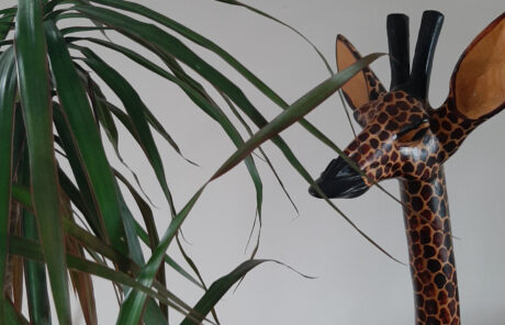 L'amitié n'a pas de prix, manger si!