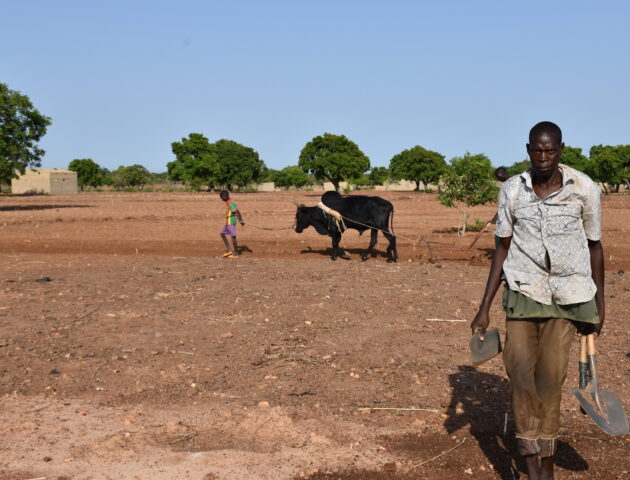 Compartir experiencias