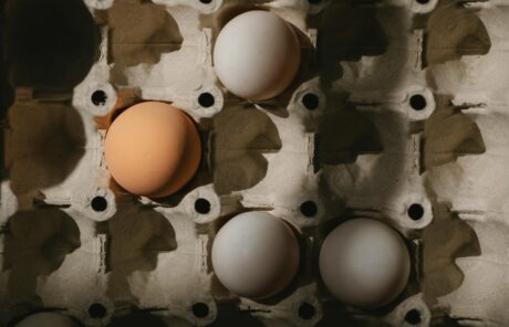 On ne peut plus rien manger