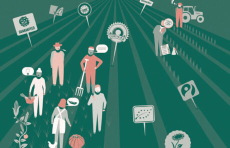 Systèmes participatifs de garantie : peuvent-ils surmonter les défis de la certification conventionnelle dans le secteur agroalimentaire ? (Collection Phosphore #4)