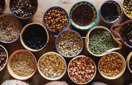 Graines de changement (Tanzanie)