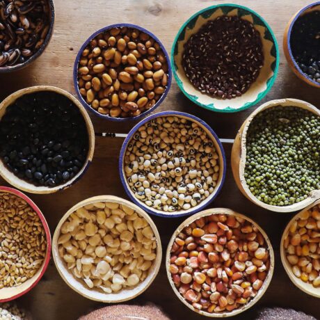 Graines de changement : reportage