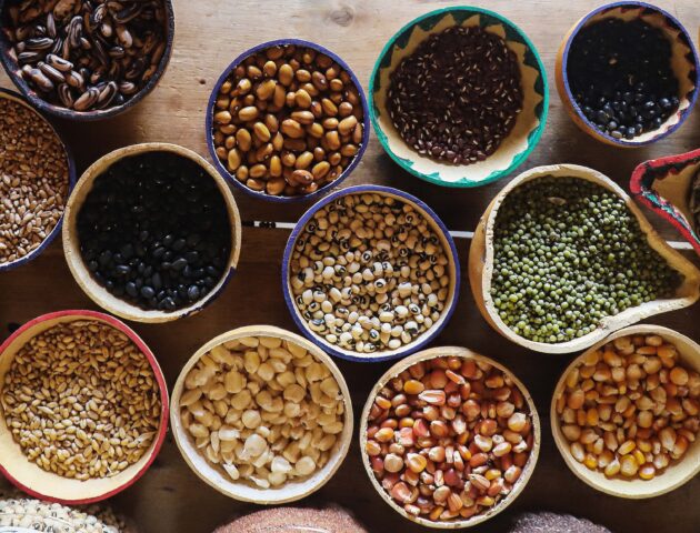 Graines de changement - Tanzanie