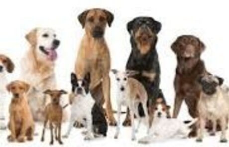 ensemble-faisons-rayonner-la-solidarite-b3b4b1c4d