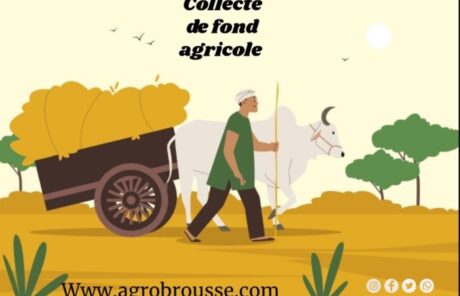 collecte-de-fond-agricole