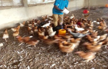 Ensemble, faisons rayonner la solidarité pour le développement agricole. Merci beaucoup et que Dieu bénit chacun de vous.