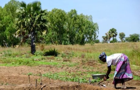 Je participe à la campagne Iles de Paix
