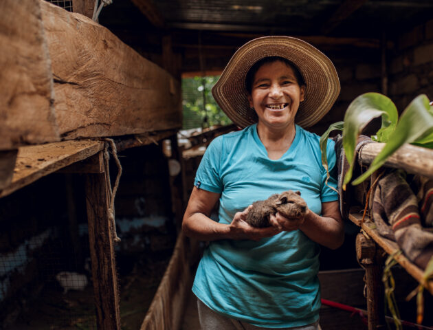Coopération internationale