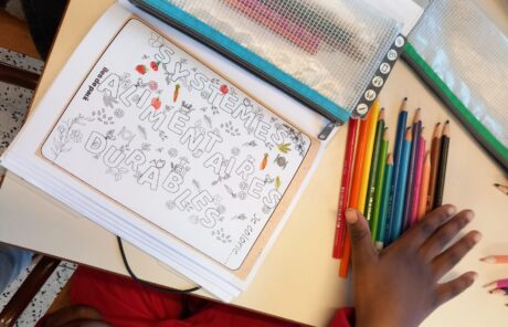 Nouveau projet pilote dans les écoles primaires : les explorateurs des systèmes alimentaires durables