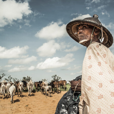 Chroniques climatiques : Histoires d'humains et de climat