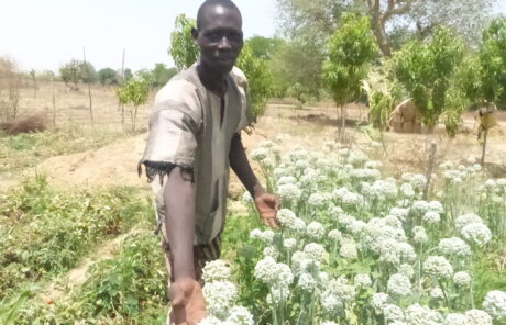 Le maraichage au cœur de l’agroécologie burkinabè