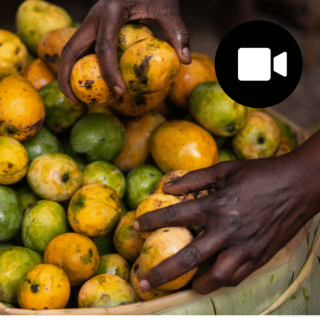 Reportage sur l'alimentation durable en Ouganda : Kirungi