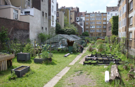 Cultiver la ville et ses abords : les agricultures urbaines et périurbaines comme leviers de durabilité alimentaire