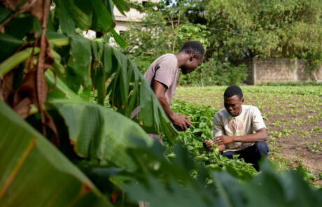 (Se) dire agriculteur ou paysan, qu’est-ce que ça change ?