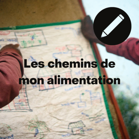 Fiche d’activité : Les chemins de mon alimentation