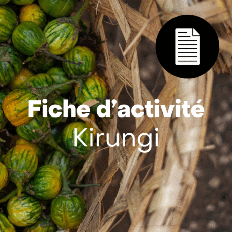 Feuillet d'analyse pour le secondaire : Kirungi