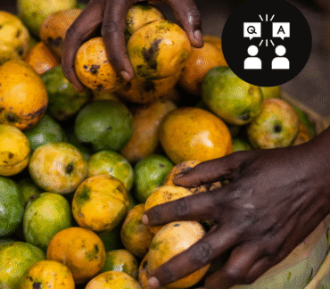 Animations, outils et jeux 2026