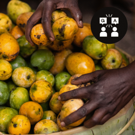 Alimentation durable en Ouganda : Kirungi