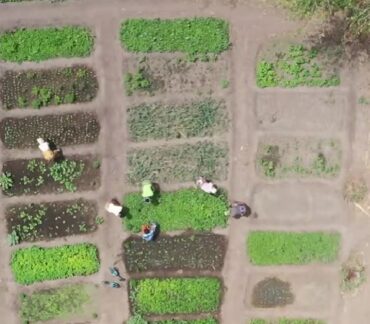 Pourquoi agir avec Iles de Paix? Vidéo école