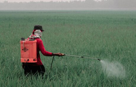 Pesticides en Afrique et en Amérique latine : enjeux sanitaires, environnementaux, commerciaux et éthiques d’un commerce à double standard
