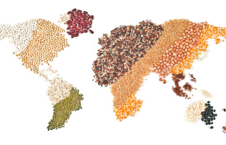 Quel modèle de commerce international pour demain ? (Collection Phosphore #8)